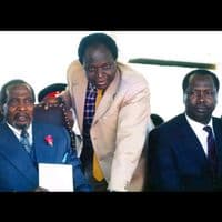 TikTok Account - paparazzi.tv