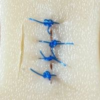 TikTok Account - littlesurgh