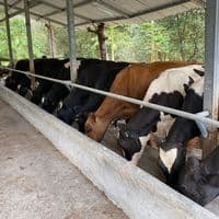 TikTok Account - lening_lara0