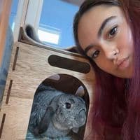 TikTok Account - taylorllacey