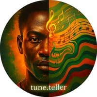 TikTok Account - tune.teller