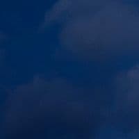 TikTok Account - jad.flees