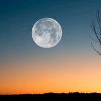 TikTok Account - elpapuy19