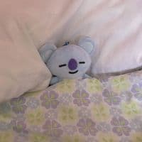 TikTok Account - nobody_2860