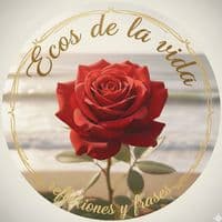 TikTok Account - ecosdelavida36