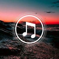 TikTok Account - sileins