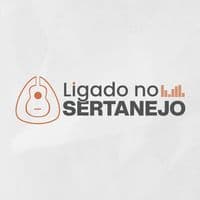 TikTok Account - ligadonosertanejo