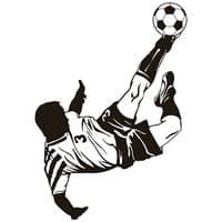 TikTok Account - 2.0futbolero