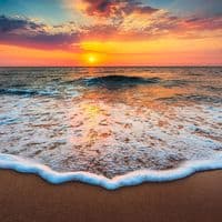 TikTok Account - imlonelytiktok