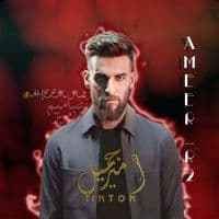 TikTok Account - ameer_r2