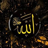 TikTok Account - nazmaluxe