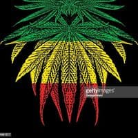 TikTok Account - thiagonelson2