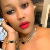 TikTok Account - chanuonchakali