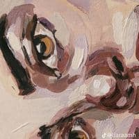 TikTok Account - folclormd