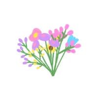 TikTok Account - katanyong_