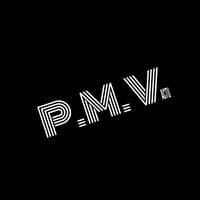 TikTok Account - p.m.v.actu
