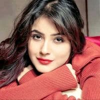 TikTok Account - mehru_143