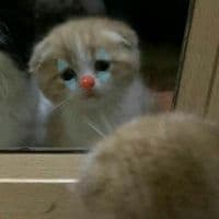 TikTok Account - historias_azul