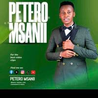 TikTok Account - peteromsanii1