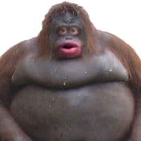 TikTok Account - cravings4candles