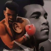 TikTok Account - acgkastro