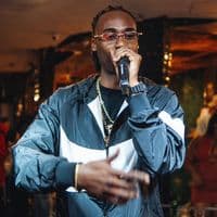 TikTok Account - mcflavinhoofc