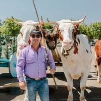 TikTok Account - ivobettencourt88