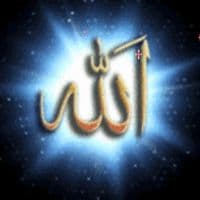 TikTok Account - furqanfeed