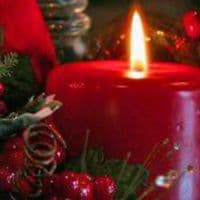 TikTok Account - chikh_ali_madjadji