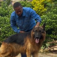 TikTok Account - babanewroyal