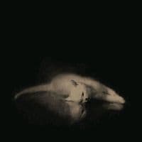 TikTok Account - oopmus