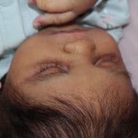 TikTok Account - elizabethmariereborn