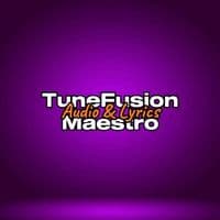 TikTok Account - tunefusionmaestro