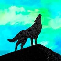 TikTok Account - guicapivara_