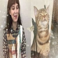 TikTok Account - my.secret.acc338