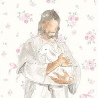 TikTok Account - artfulcases