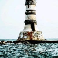 TikTok Account - papamadou66