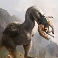 TikTok Account - lk_edits_0fc