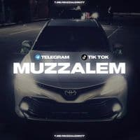 TikTok Account - muzzalem077