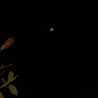 TikTok Account - znn.nx