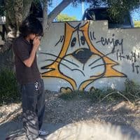 TikTok Account - valuenesss