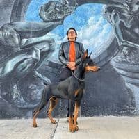 TikTok Account - aldo_del_lobo