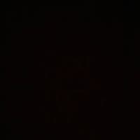 TikTok Account - wbk.dtm24