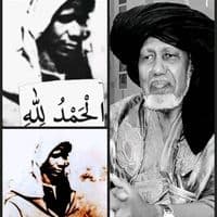 TikTok Account - amadouhairaichildren