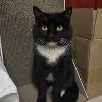 TikTok Account - pioneer_2001