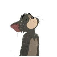 TikTok Account - 2004.lyrics