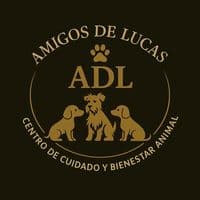 TikTok Account - amigosdelucas