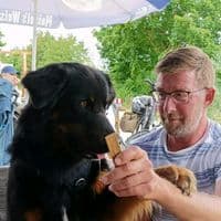 TikTok Account - uwest70