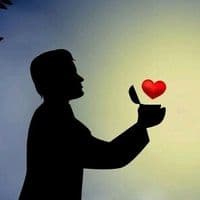 TikTok Account - nolovenolove48