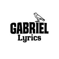 TikTok Account - gabriel.lyrics01